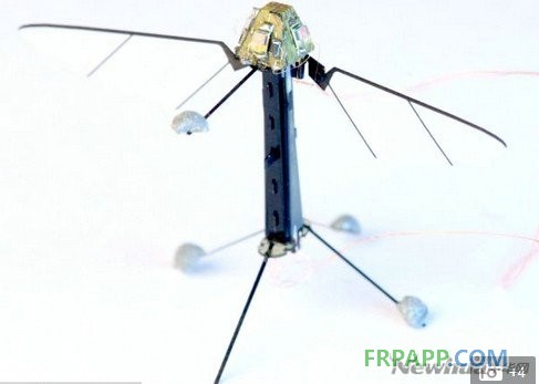全球最小无人机：Robo-Fly飞行机器人
