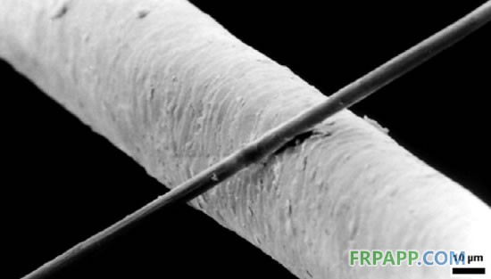 上面为直径6微米的碳纤维与下面人类头发的比较