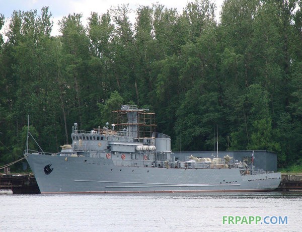 俄罗斯扫雷艇