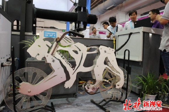 阎彤摄 纤维1 (6)