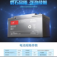 山特蓄电池12V100AH城堡C12-100铅酸免维护监控