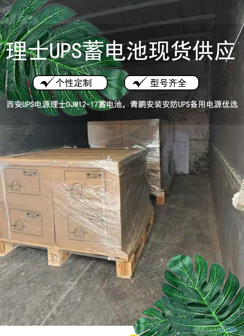 2西安UPS电源理士DJM12-17蓄电池，安防UPS备用电源优选型号6
