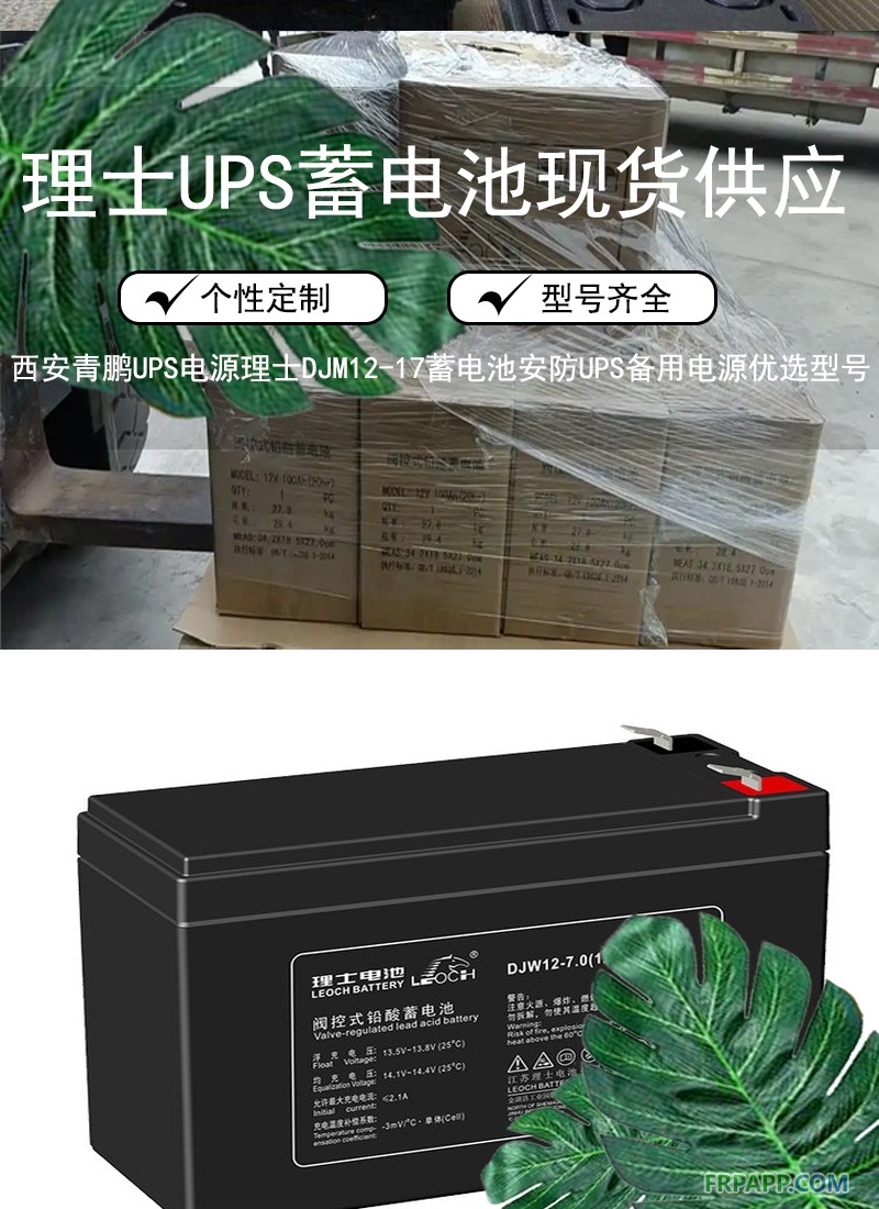 2西安UPS电源理士DJM12-17蓄电池，安防UPS备用电源优选型号1