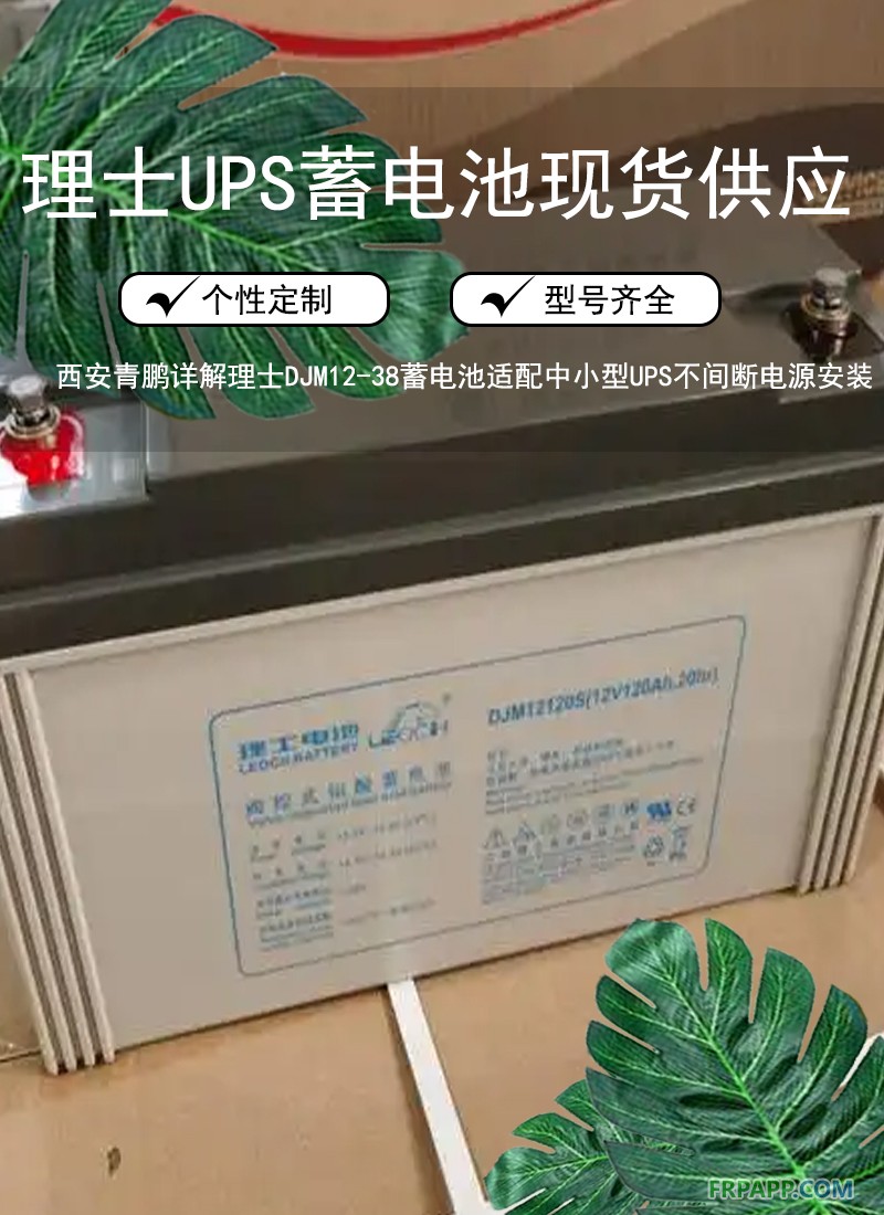 5.西安写字楼机房UPS电源必备：理士 DJM12-65 UPS蓄电池稳定续航6