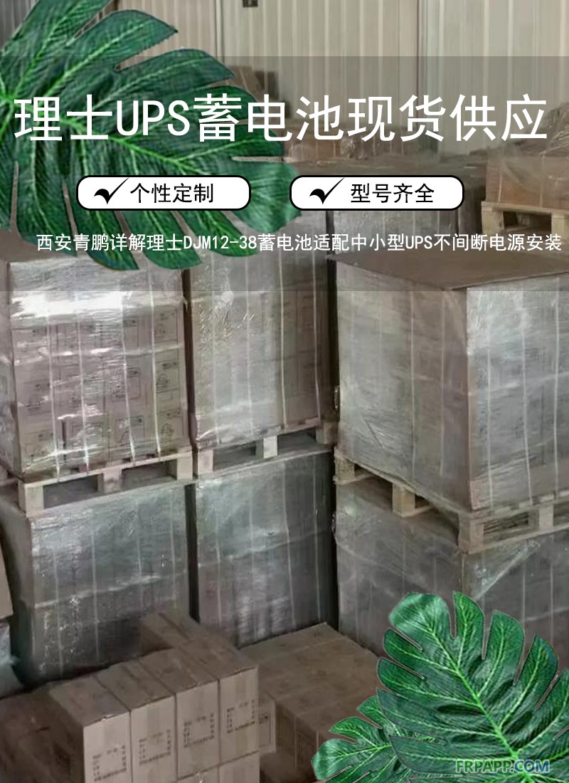 5.西安写字楼机房UPS电源必备：理士 DJM12-65 UPS蓄电池稳定续航5