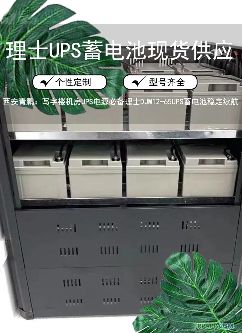 5.西安写字楼机房UPS电源必备：理士 DJM12-65 UPS蓄电池稳定续航3