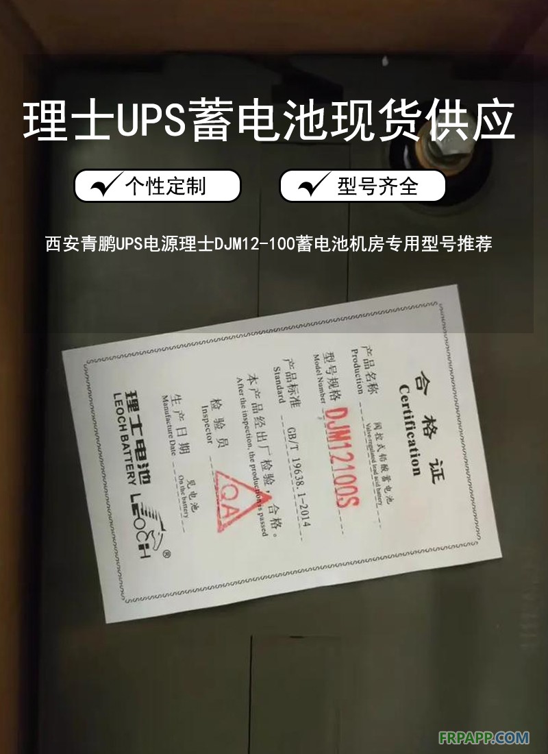 6.西安青鹏UPS电源理士DJM12-100蓄电池机房专用型号推荐6