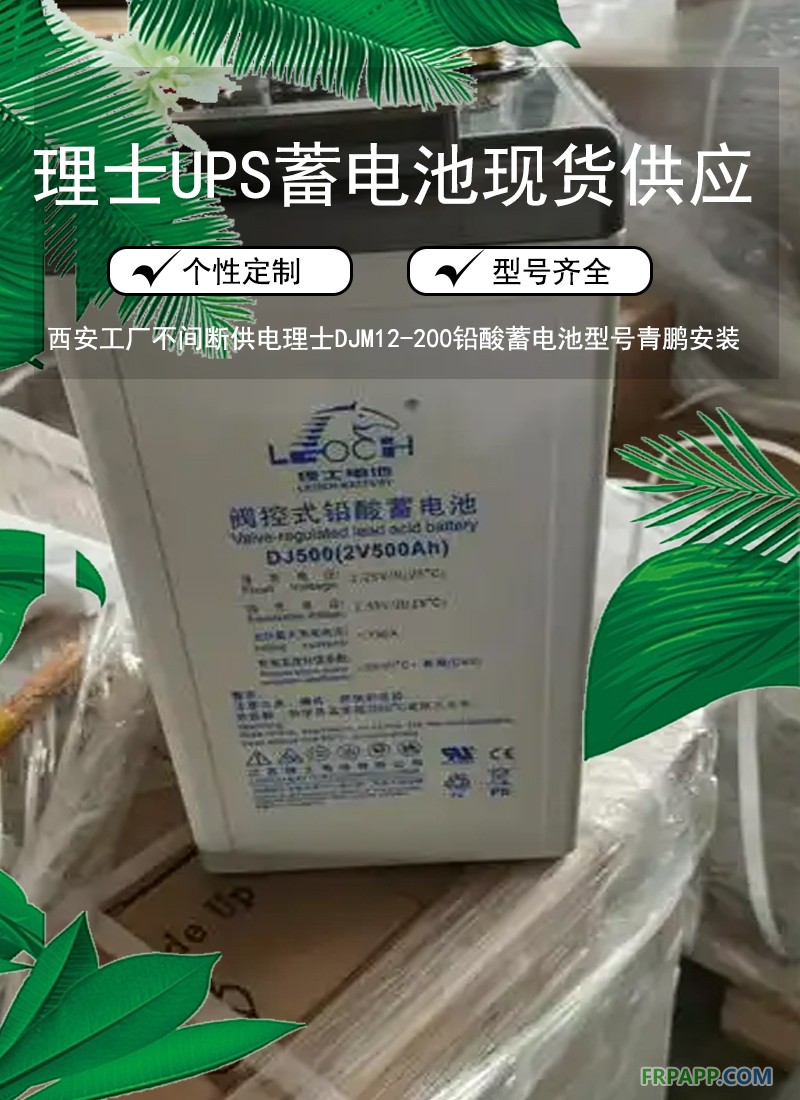 10.西安2V大容量系列理士DJM2V100蓄电池UPS配套方案11
