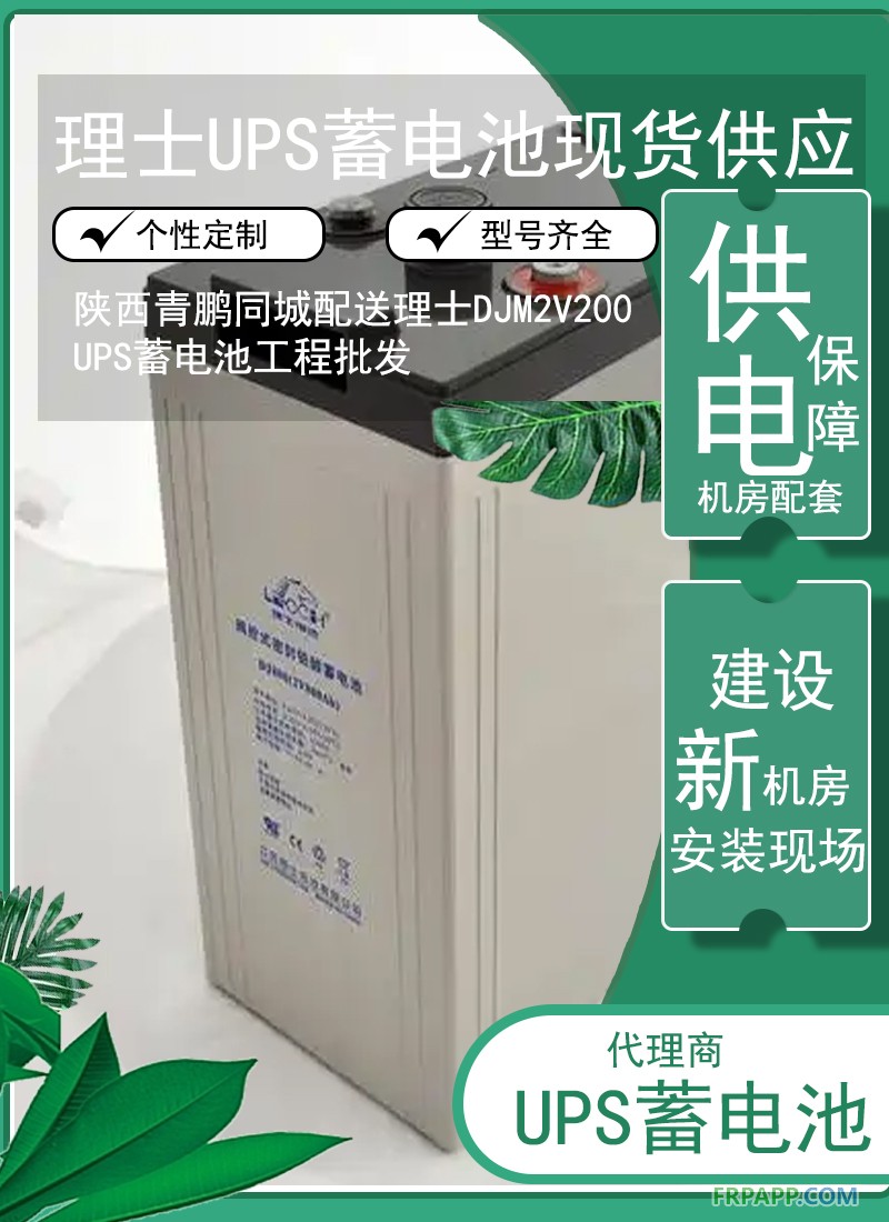 11.陕西同城配送理士DJM2V200 UPS蓄电池工程批发5