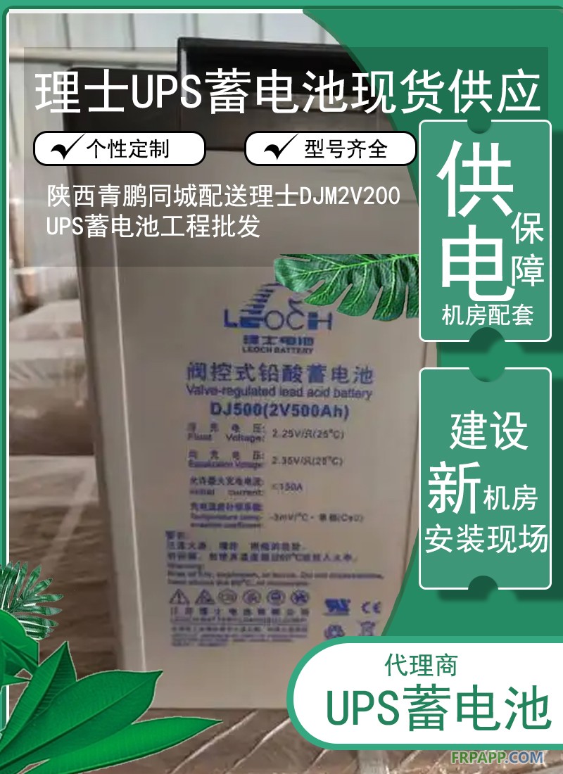11.陕西同城配送理士DJM2V200 UPS蓄电池工程批发8