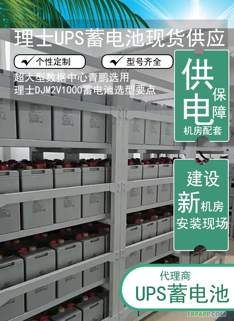 14.超大型数据中心理士 DJM2V1000蓄电池选型要点1