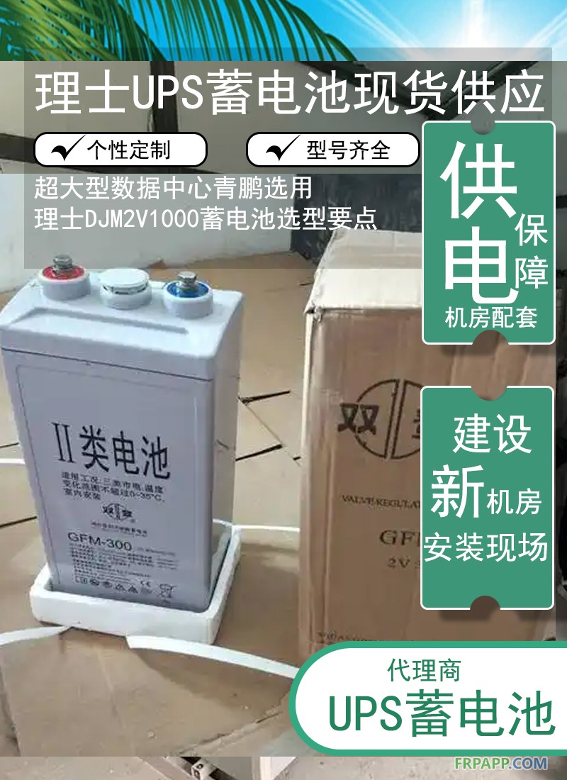14.超大型数据中心理士 DJM2V1000蓄电池选型要点6