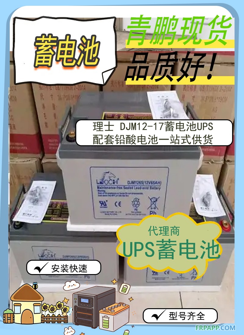 17.理士 DJM12-17 蓄电池|UPS 配套铅酸电池 陕西供货2