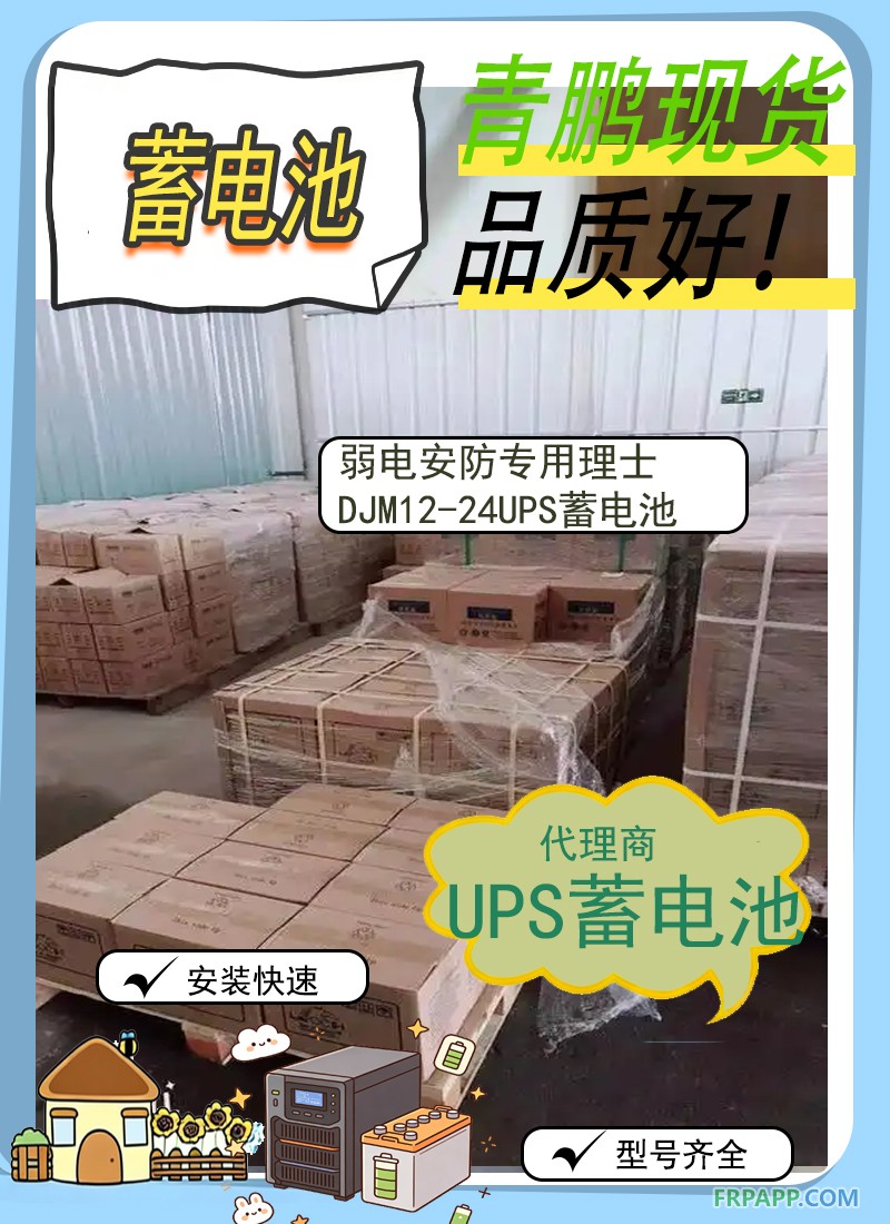 18.弱电安防专用理士DJM12-24UPS蓄电池刘元代理2