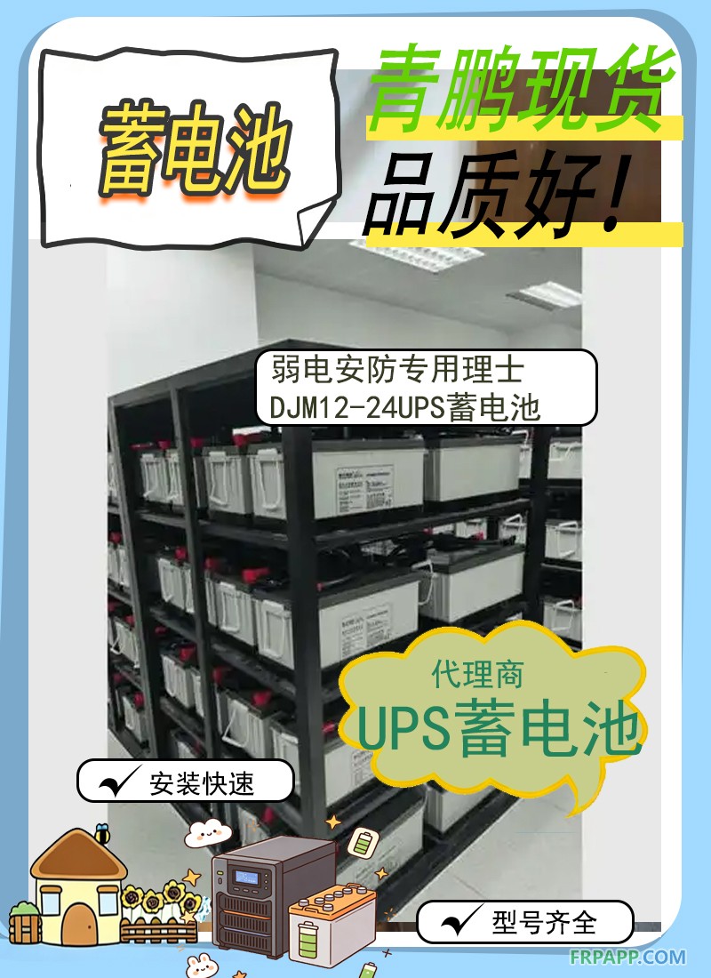 18.弱电安防专用理士DJM12-24UPS蓄电池刘元代理6