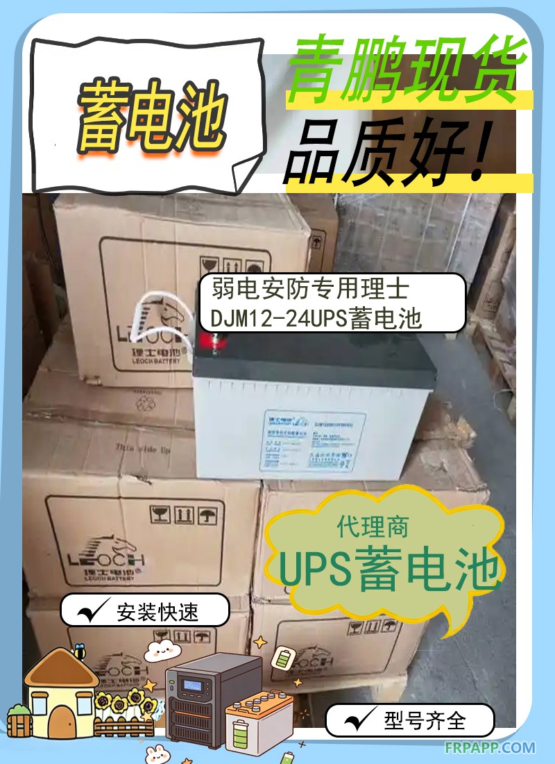 18.弱电安防专用理士DJM12-24UPS蓄电池刘元代理5