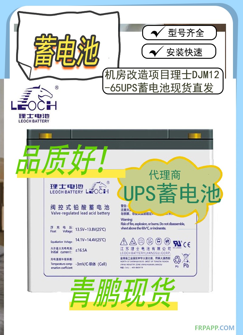 20.机房改造项目理士DJM12-65UPS蓄电池现货直发68