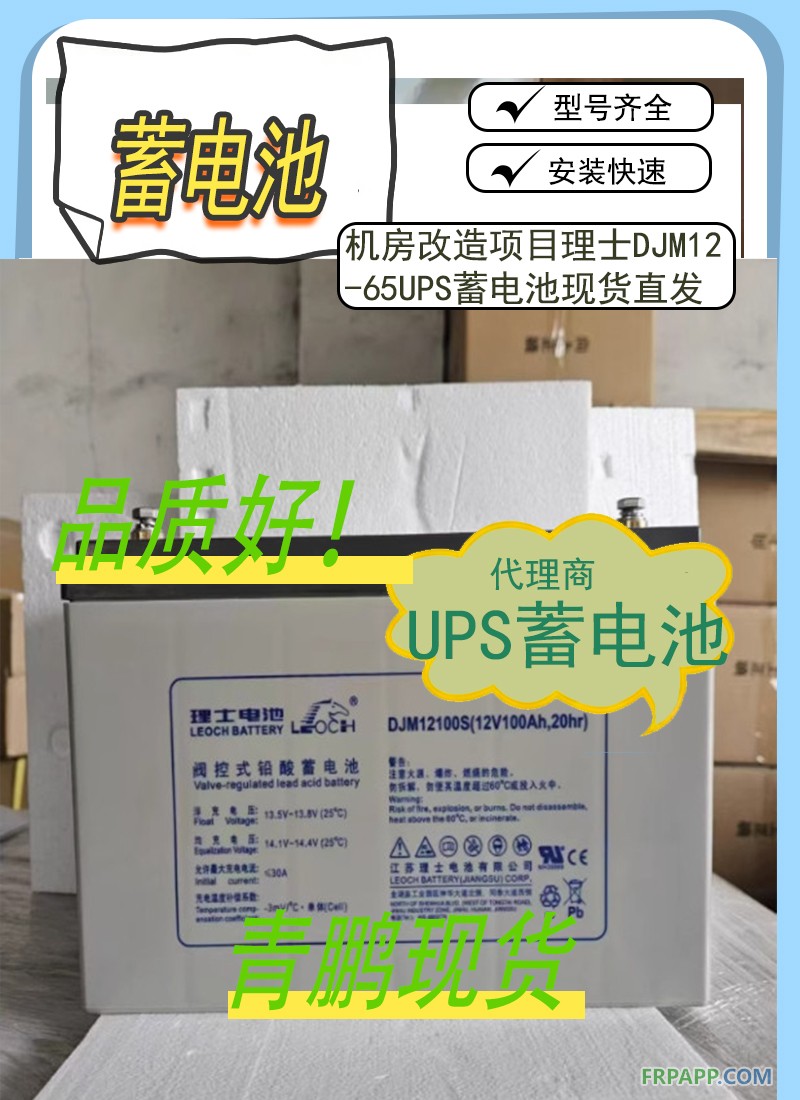 20.机房改造项目理士DJM12-65UPS蓄电池现货直发66