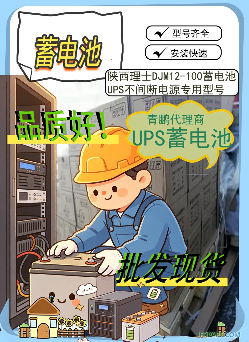 21.陕西理士DJM12-100蓄电池UPS不间断电源专用型号3