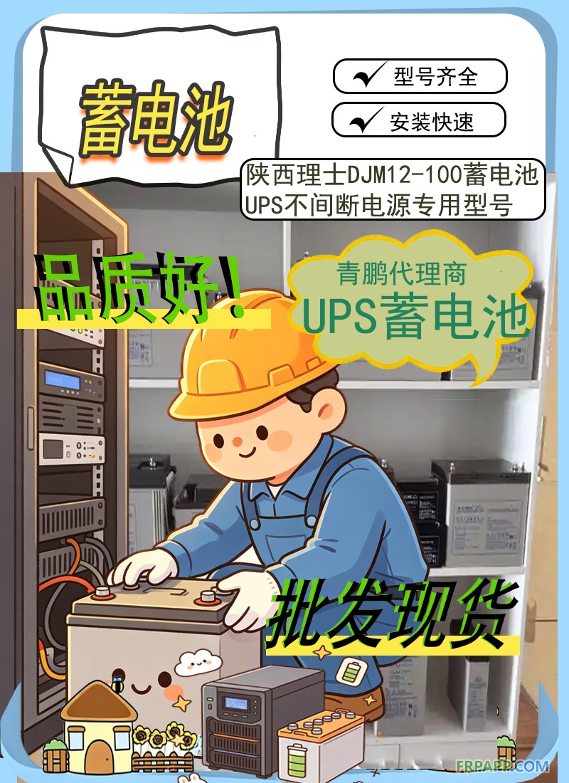 21.陕西理士DJM12-100蓄电池UPS不间断电源专用型号6