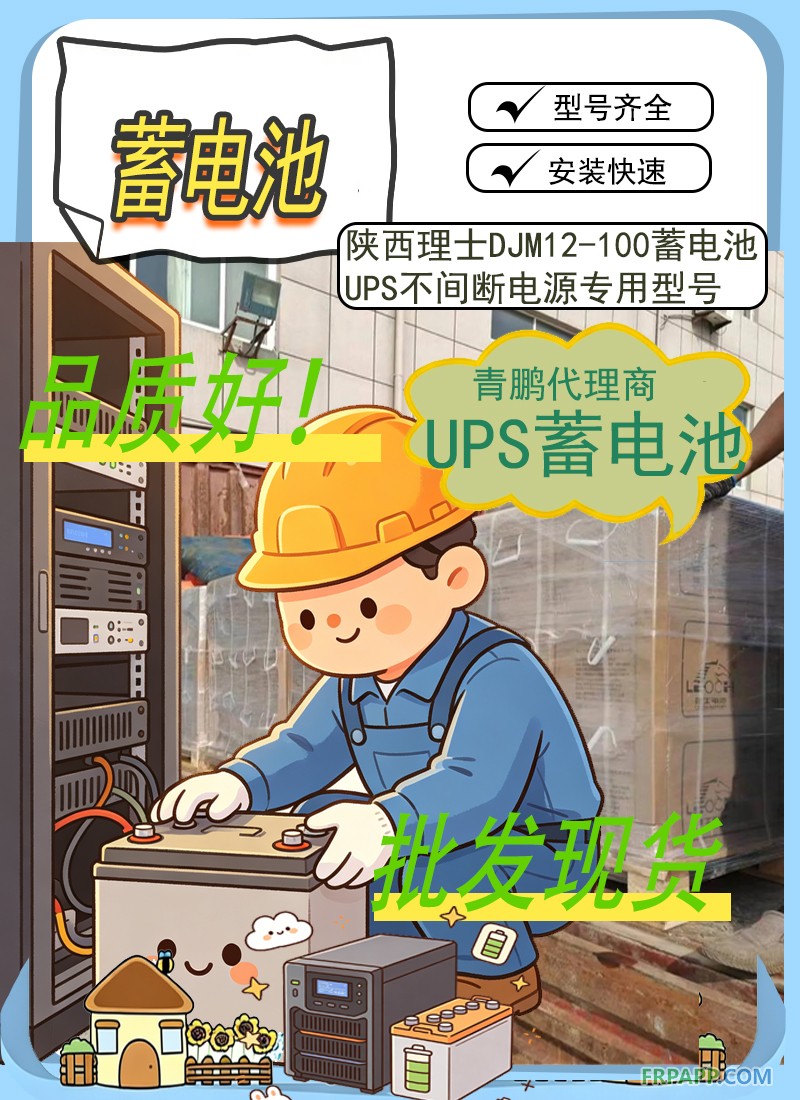21.陕西理士DJM12-100蓄电池UPS不间断电源专用型号2