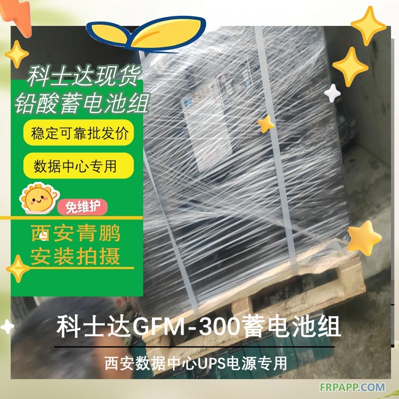 12西安数据中心UPS电源科士达GFM-300蓄电池组5
