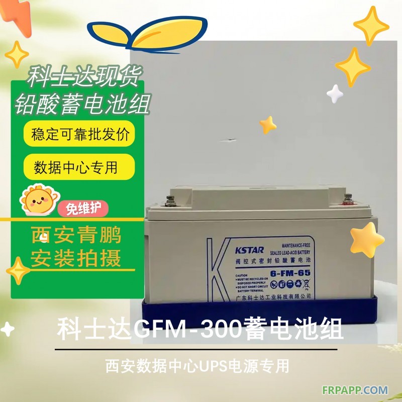 12西安数据中心UPS电源科士达GFM-300蓄电池组2