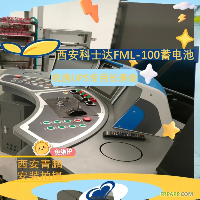 9西安科士达FML-100长寿命蓄电池机房UPS专用3