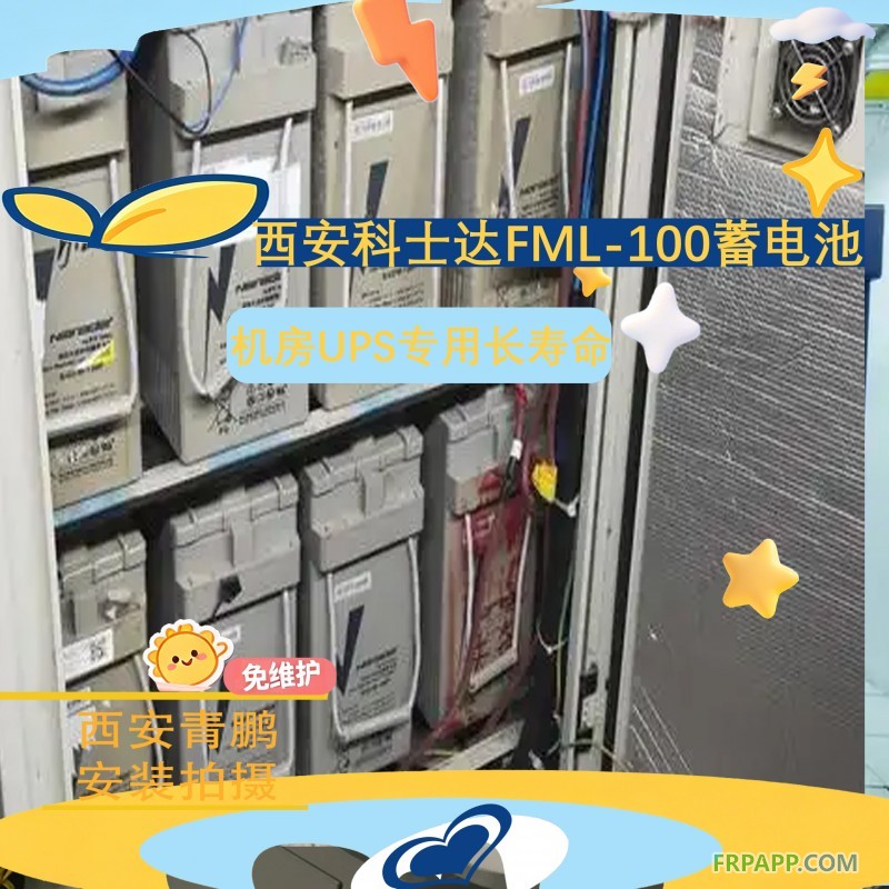 9西安科士达FML-100长寿命蓄电池机房UPS专用4